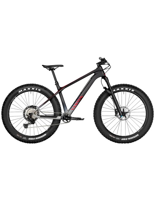 2023 Canyon Dude CF 9 Mountain Bike