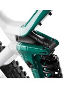2023 Canyon Strive CFR TLD Mountain Bike