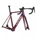 2023 Canyon Ultimate CFR Disc Frame and Brake Kit
