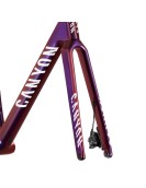 2023 Canyon Ultimate CFR Disc Frame and Brake Kit