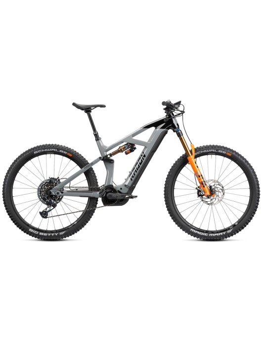 2023 Radon Render 10.0 750 Mountain Bike