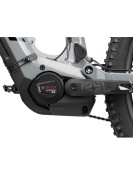 2023 Radon Render 10.0 750 Mountain Bike