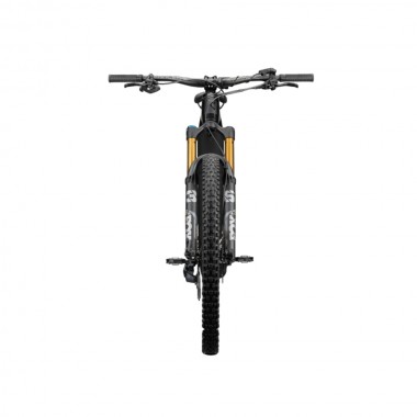 2023 Radon Render 10.0 HD 750 Mountain Bike