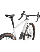 2023 Specialized Diverge Expert Carbon Road Bike