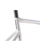 2023 Specialized Remco's Reign Celebration Tarmac Frameset