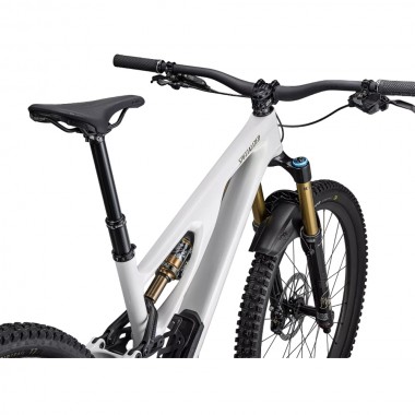 2023 Specialized Stumpjumper EVO Pro Mountain Bike