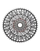 SRAM XX EAGLE Transmission Axs 1x12-Speed Groupset