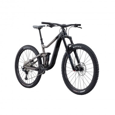 2024 Giant Reign 2 Mountain Bike