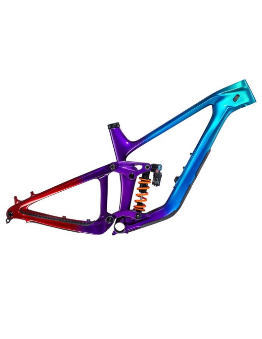 2024 Giant Reign Advanced Frameset