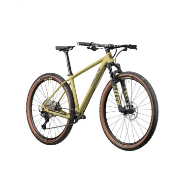 2024 Radon Jealous Al 10.0 Mountain Bike