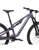 2025 Canyon Neuron CF 7 Mountain Bike
