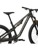 2025 Canyon Neuron CF 9 Mountain Bike