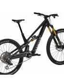 2025 Canyon Spectral:ONfly CF LTD Mountain Bike
