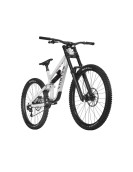 2025 Canyon Torque DH CLLCTV Mountain Bike